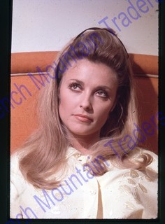 Sharon Tate HI RES 35mm Color Slide by Louis Goldman Nice Color 2702