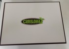 Cariloha Bamboo Sheets Queen (Stone) 1 Flat, 1 Fitted, 2 Pillow Cases