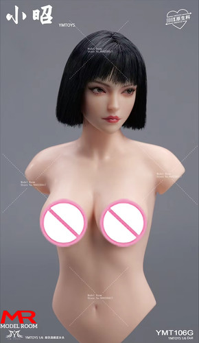YMTOYS YMT106 1/6 Xiaozhao Cabeza Esculpida Ojos Movibles para Figura PH de 12"" TBL - Imagen 24 de 27