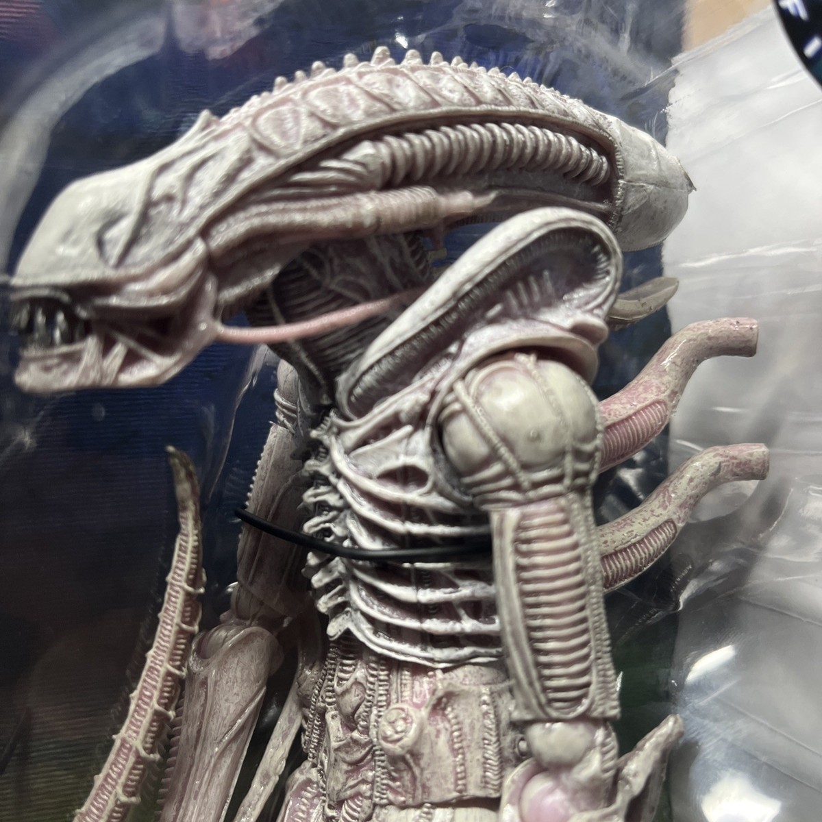 NECA ゼノモーフ　アルビノ　エイリアン Aliens 7
