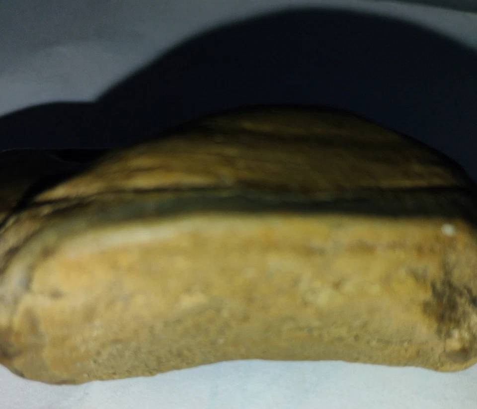 Rana nativa americana Effing del centro de Nebraska Foto 3 de 4