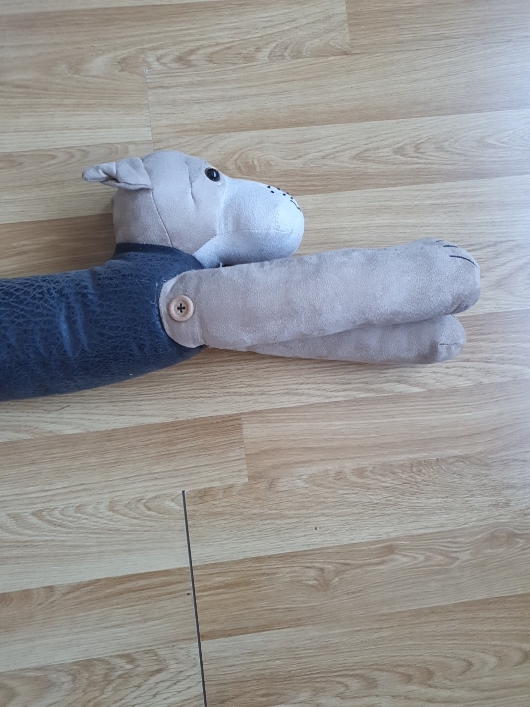 Bild 10 von 22