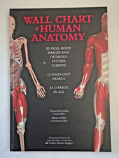 Human Anatomy Body Wall Chart Graphs Fold Out Oversize Book 3D Full Body 17"
