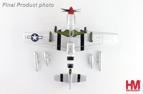 HA7750 1/48 P-51D Mustang USAAF 335th FS 4th FG Captain Ted Lines - Picture 8 of 9