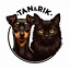 tanandrik_store