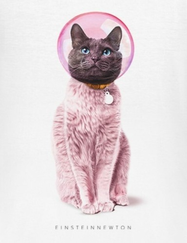 CAMISETA DE MUJER EINSTEIN NEWTON ASTRO GATO RODEO - Imagen 3 de 3