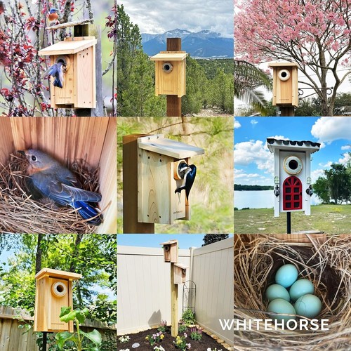 Bluebird House - A Bird House Built to NABS Specs - Nestbox for Various Songb... - Picture 3 of 8