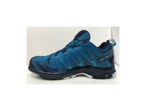 salomon xa pro gtx mens