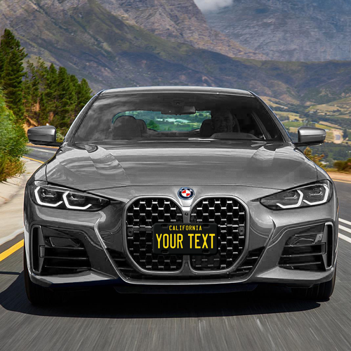 Custom state License Plates with personalized text Car 12x6- Moto 7x4 - Bike 6x3 - Picture 73 of 570