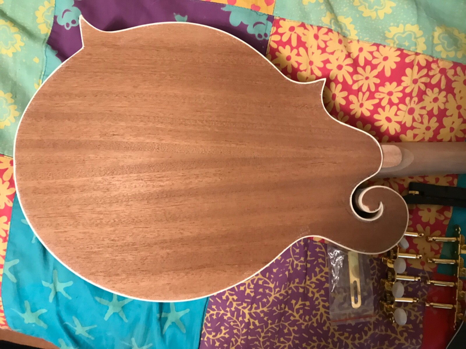 Mandolin KitFStyle eBay