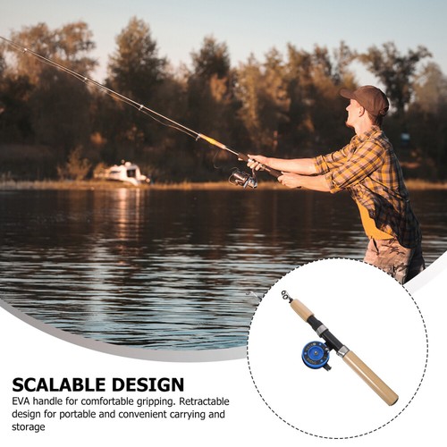 75cm Portable Telescopic Winter Fishing Rod Fish Hand Fishing Tackle Fishing - Picture 4 of 11