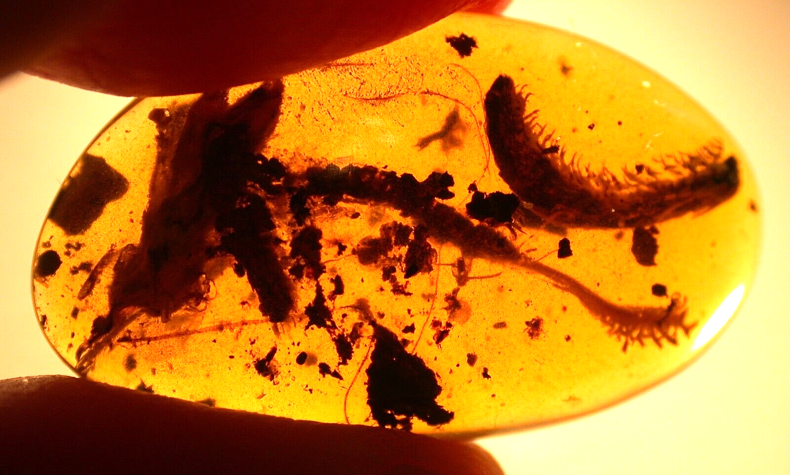 Picture 2 of 11