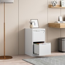 Metal Vertical File Storage Cabinet,2 Drawer Filing Cabinet with Lock for Office