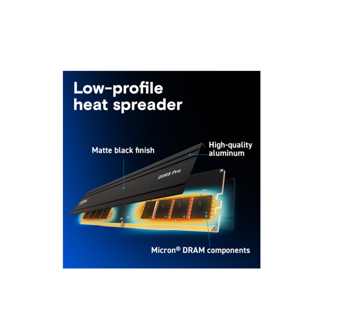 Crucial Pro DDR5-5600 Kit 64GB 2x32GB UDIMM CL46 (16Gbit