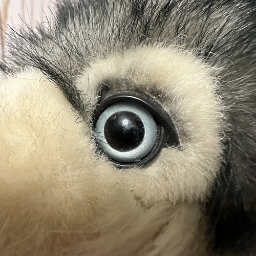Vintage Commonwealth Husky Dog Wolf Plush Realistic Blue Eyes Sitting 10 Inch - Picture 8 of 13