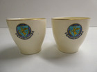 ROYAL DOULTON PAIR OF MELBOURNE UNIVERSITY TEACUPS ENGLAND THOS. WEBB & SONS SET