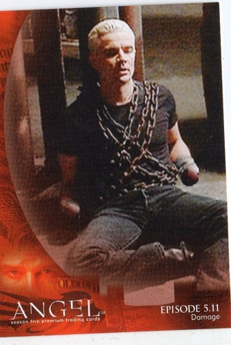 Angel Series 5 ( 2004) Individual Trading Cards - Picture 29 of 90