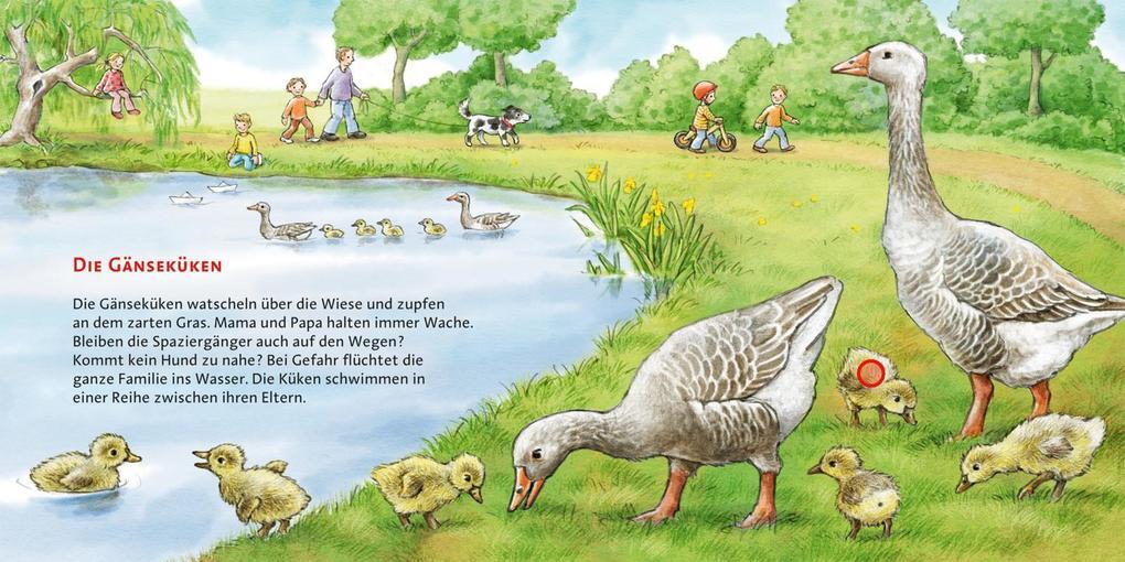 Thumbnail - Hör Mal (soundbuch): Die Tierkinder | Anne Möller | 2016 | Deutsch
