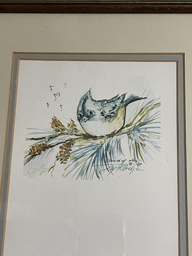 Vintage Tri-Print Joy Alldredge Singvögel doppelt matt gerahmt 1983 23 Zoll x 11 - Bild 3 von 11