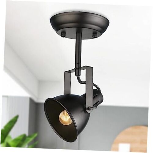 Black Track Lighting Head, 1-Light Modern Farmhouse Adjustable Matte Black