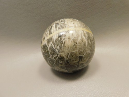 Agatized Coral Jasper Stone Sphere 2 inch Fossilized #O1 - Picture 4 of 8