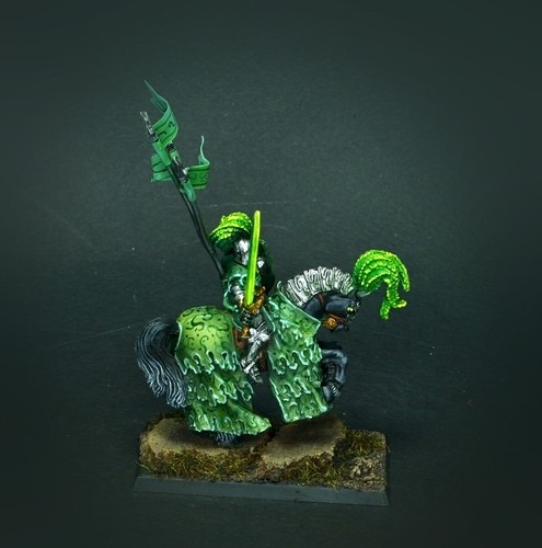 The Green Knight Bretonnia ** COMMISSION ** pro painting - Picture 3 of 6