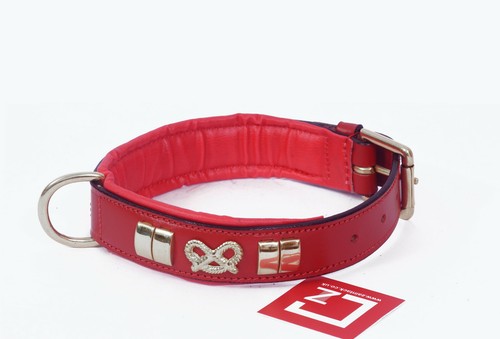 COLLAR DE PERRO PEQUEÑO DE CUERO STAFFORDSHIRE ACOLCHADO, LATÓN CROMADO Y NUDO STAFFY - Imagen 5 de 23