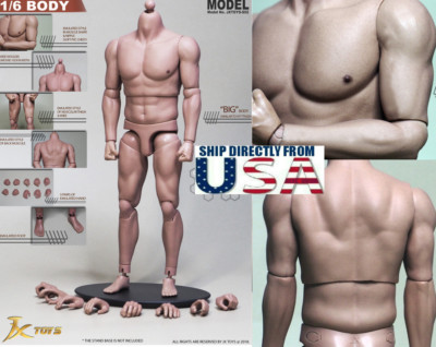 JX TOYS 1//6 Scale Emulated Male Muscular Figure Body JXS02 U.S.A IN STOCK