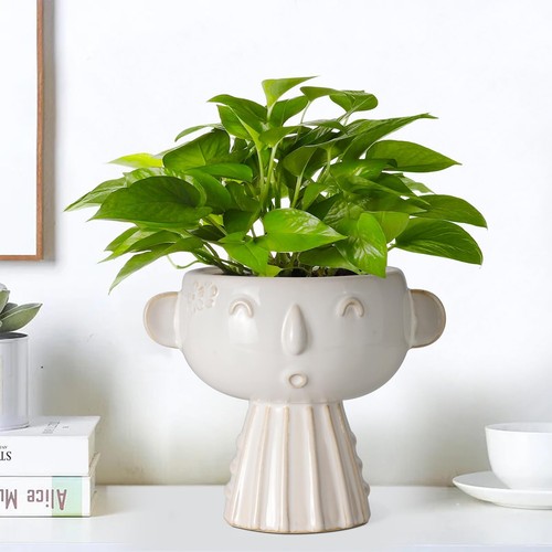 Face Planter Pot 7 Inch - Cute Ceramic Flower Head Planter for Indoor Outdoor... - Picture 6 of 9