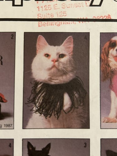 Simplicity Sewing Pattern 8416 Dog Cat Clothing Coat Shirt Collars Dogwear Uncut - Picture 4 of 6