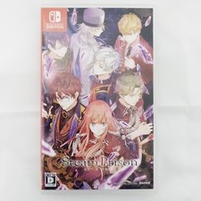 Nintendo Switch Steam Prison English support Japanese games