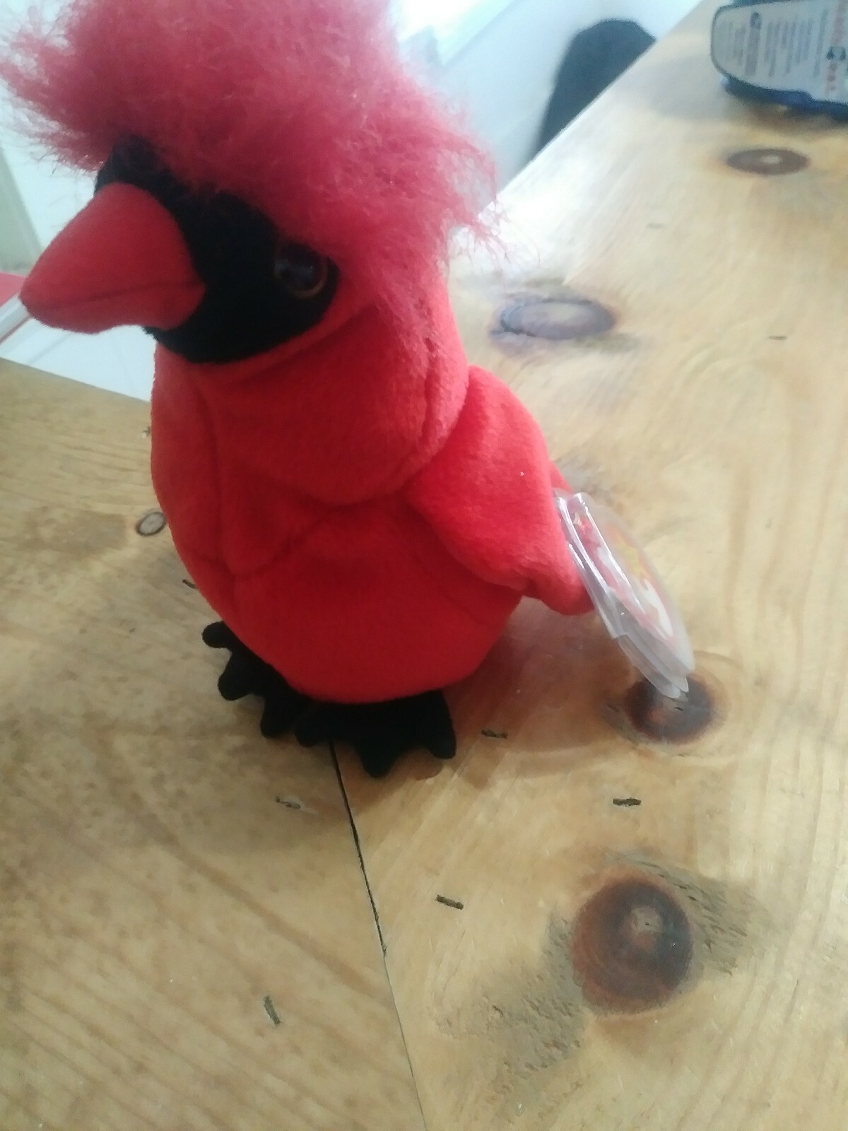 TY ORIGINAL BEANIE BABY MAC 1998 PLUSH CARDINAL BIRD - Rare with Errors TY ORIGINAL BEANIE BABY MAC 1998 PLUSH CARDINAL BIRD - Rare with Errors