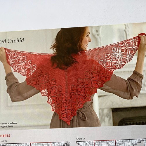 RED ORCHID - Classic Lace Edged shawl - knitting pattern by Anniken Allis - Picture 5 of 5