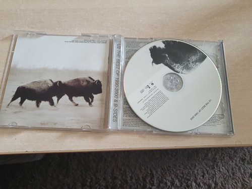 U2 - Best of 1990-2000 (2002) - Bild 10 von 10