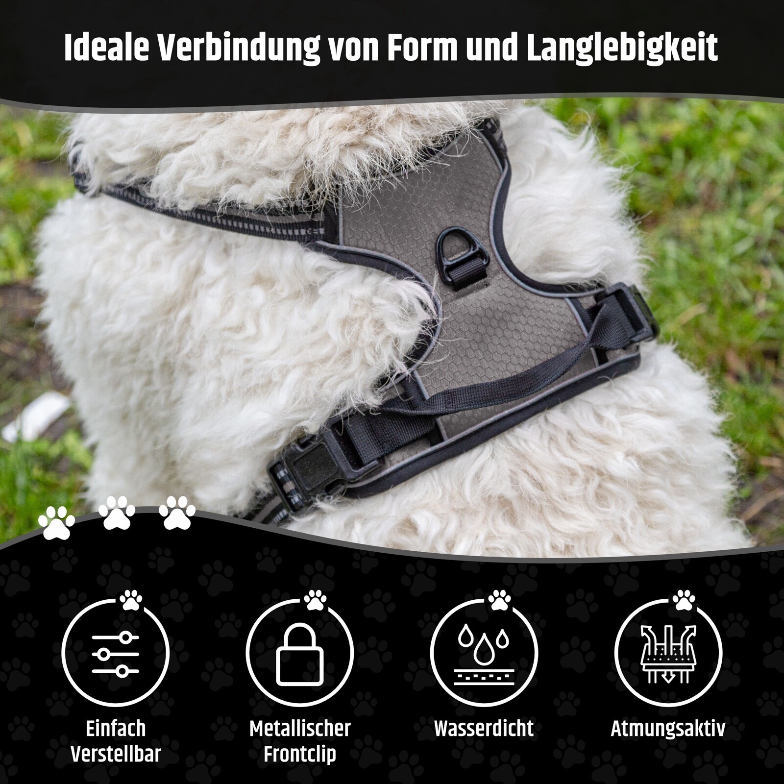 Bild 17 von 23