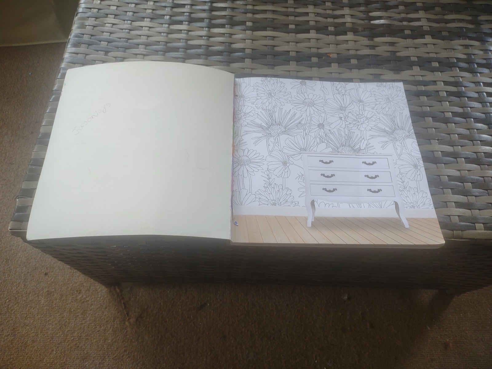 Picture 8 of 18