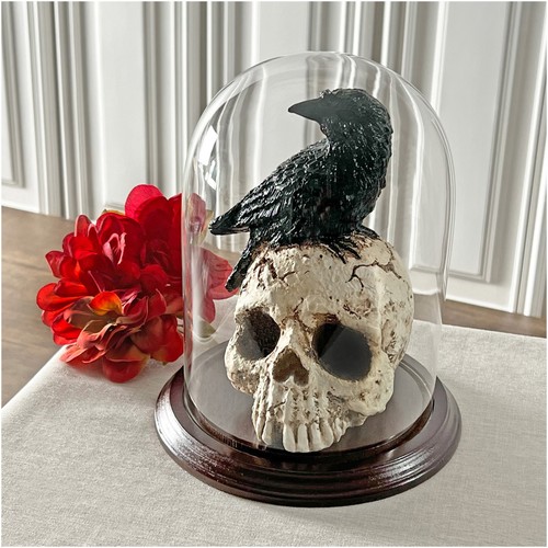 Plymor 5,5" x 8" Glas Display Kuppel Cloche (dunkles Mahagoni Furnier Basis) - Bild 2 von 2