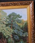 Picture 6 of 22