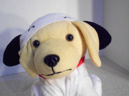 Cacahuetes coleccionables Raising Canes Snoopy Peanuts 2021 felpa cachorro perro - Imagen 5 de 8