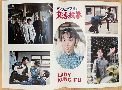 Programa de películas He qi dao/Lady Kung Fu 1972 Japón Angela Mao, Carter Wong - Imagen 3 de 7