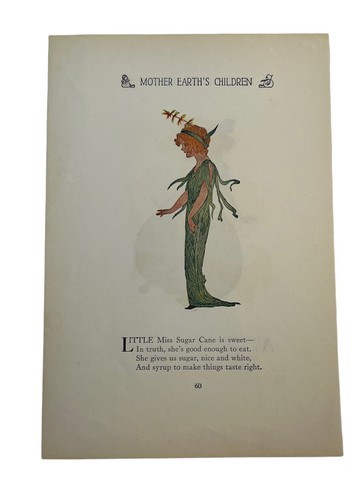 Hijos de la Madre Tierra 1914, M.T. Ross / Elizabeth Gordon * caña de azúcar * - Imagen 2 de 3