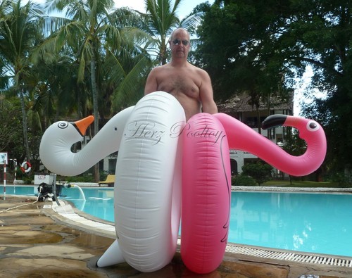 Großer aufblasbarer Schwimmreifen / Schwimmring "Schwan"-Style Pool toy ~125cm - Bild 6 von 7