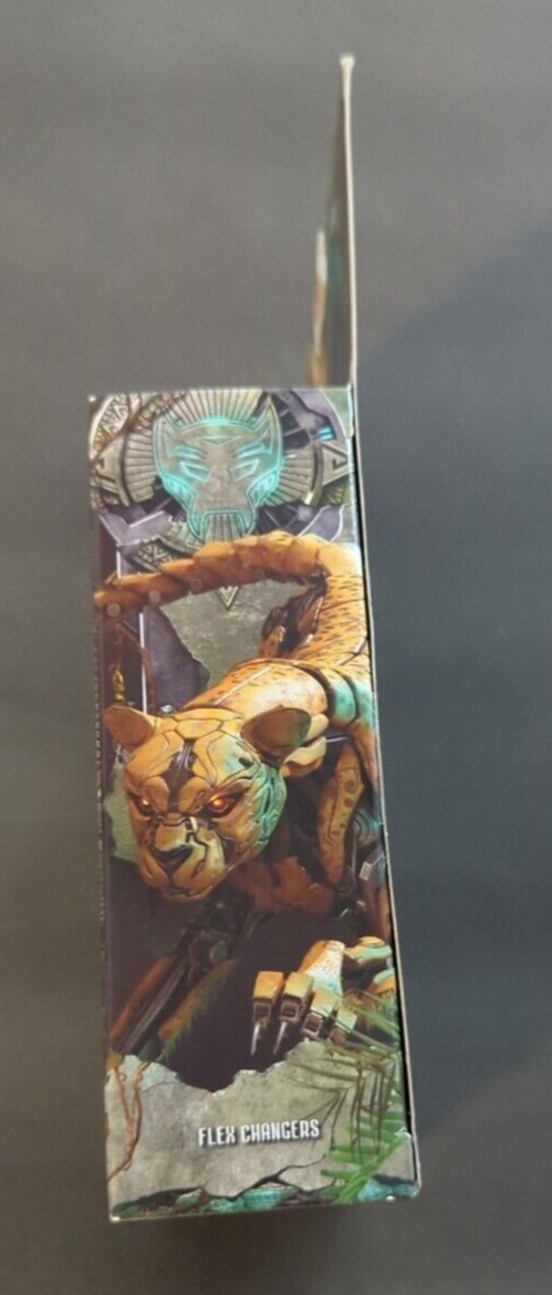 Picture 4 of 6