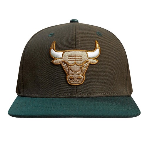 Men PRO STANDARD Chicago Bulls Stivali 2 Tone Trucker Snapback Hat - Picture 2 of 8