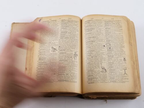 Dictionnaire LAROUSSE 1933 - Imagen 8 de 17