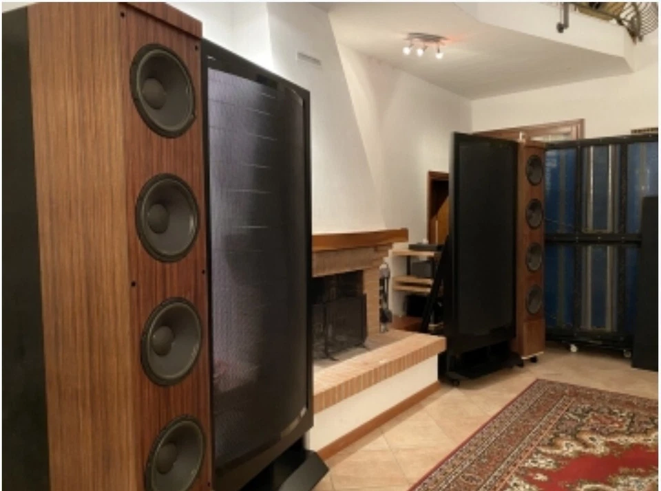 MARTIN LOGAN THE STATEMENT 1 EV2 - Immagine 3 di 3