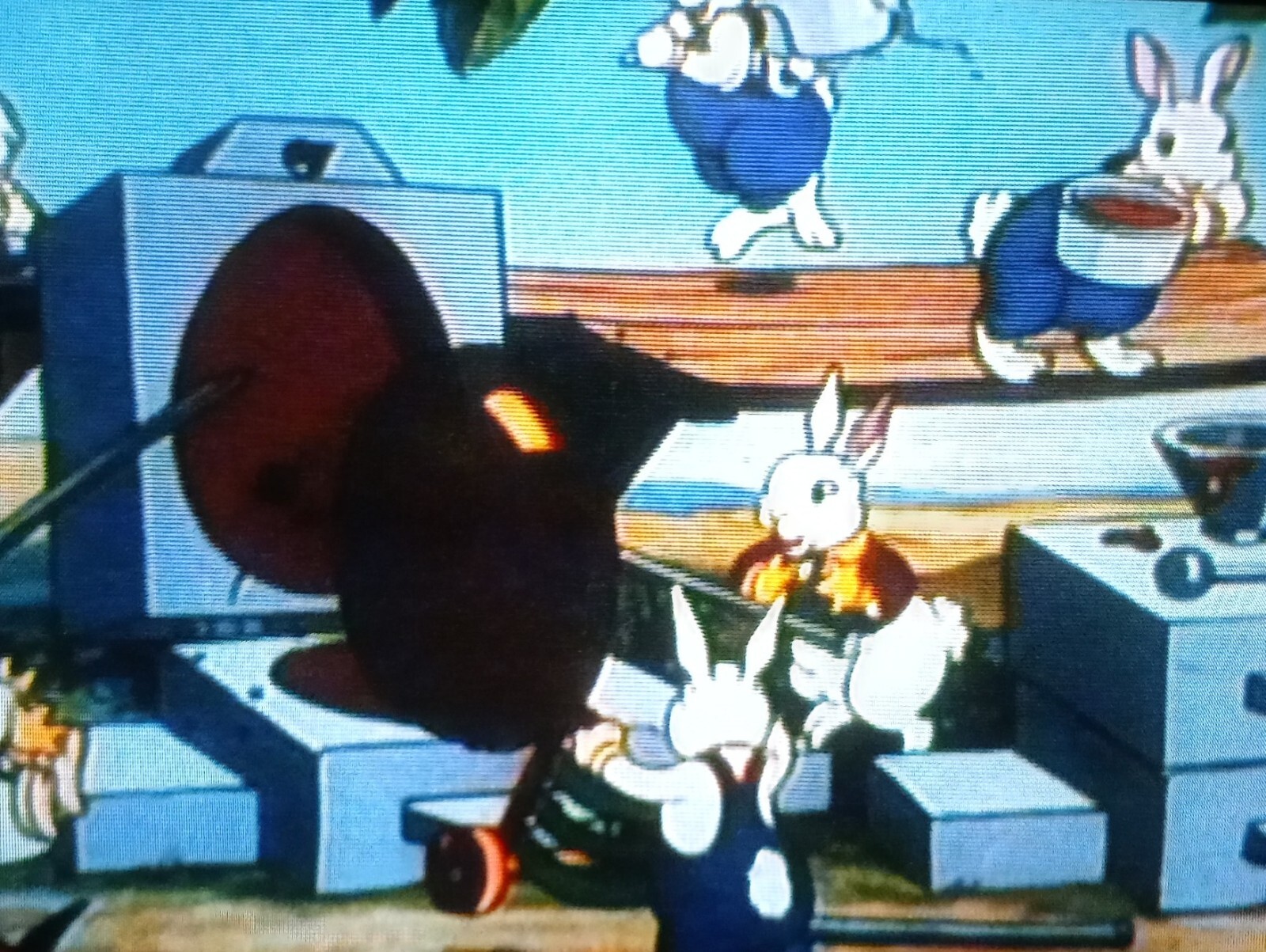 Funny Little Bunnies Funny Little Bunnies