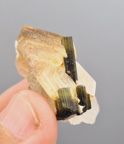 12g Terminated Tourmaline With Mica & Quartz From Northern Area Of Pakistan - Picture 5 of 18