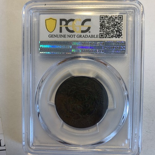 1808 1c Classic Head Large Cent PCGS Fine Detail Great Coin for 215 Years Old. - Picture 8 of 8