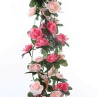 Bild 11 von 12